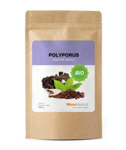 MycoMedica Polyporus prášek BIO 100 g