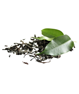 QuickTea China gunpowder 1st grade - zelený čaj