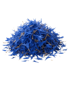 QuickTea Chrpa květ - celý