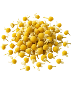 QuickTea Heřmánek římský květ - celý