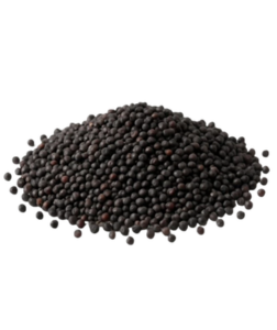 QuickTea Hořčice černá semena - celá