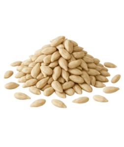 QuickTea Slunečnicová semínka natural