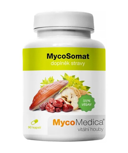 MycoMedica MycoSomat 90 cps.