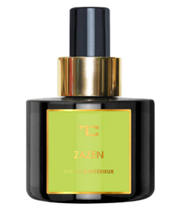 Dedra ZAZEN bytový parfém ve spreji PARFUMIA PARFUM D'INTÉRIEUR 100 ml