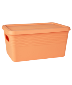 Dedra PRAKTIK úložný box s víkem 27,5 cm 1 ks 